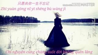 [Vietsub - Pinyin] Tương Tư Dẫn - Đổng Trinh | 相思引 - 董贞