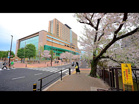 Afternoon walk through Itabashi-ku Tokyo, Japan • 4K HDR