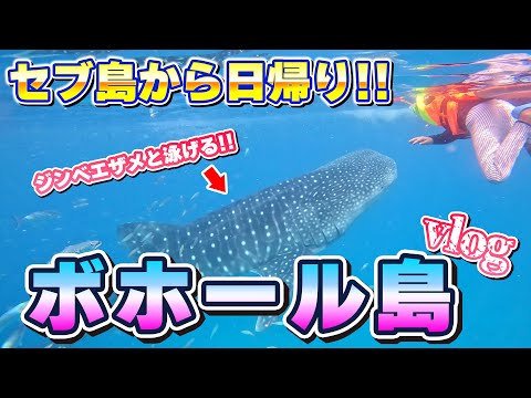 【セブ島以上に名所あり】フィリピン ボホール島 観光 Vlog