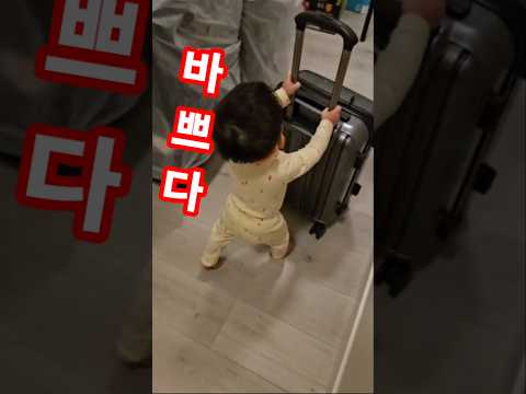 바쁘다 바빠!? #아기 일상 #아기 #shorts #여행  #바쁘다바빠 #귀요미 #cute #baby #15개월아기