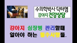 강아지 심장병 관리시 꼭 알아둬야 하는 심장약, 심장영양제 사용법