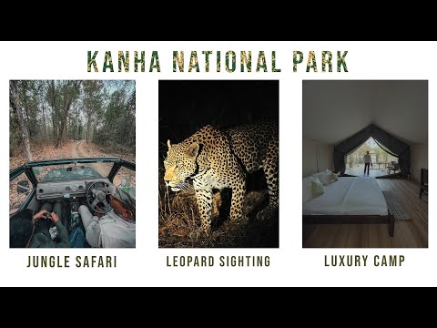 Kanha National Park | My Luxurious Jungle Stay & We found a Leopard