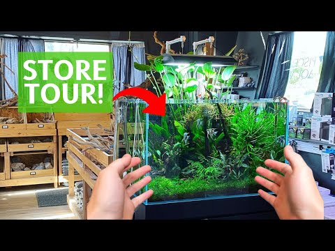 Touring A Very Special Planted Aquarium Store!