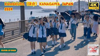 4k hdr japan travel 2024 | Walk in Kamakura（鎌倉）Kanagawa japan |  Relaxing Natural City ambience