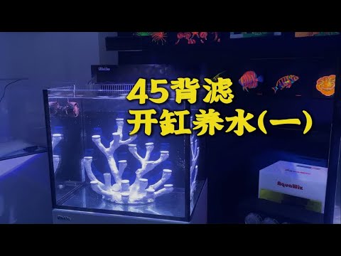 45背滤开缸养水（一）