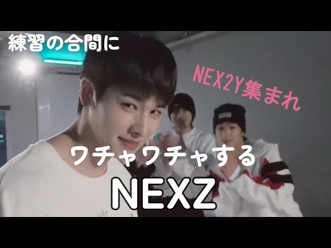 まじめな練習の合間にわちゃわちゃするNEXZ達【NEXZ/まとめ】