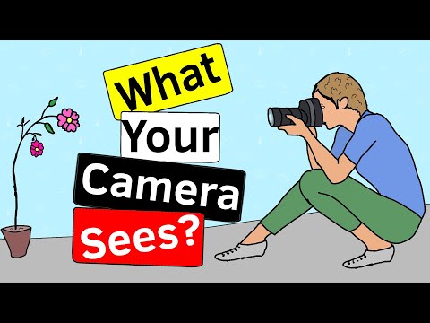 What Does Your Camera See - in short and simple | How does a camera work?