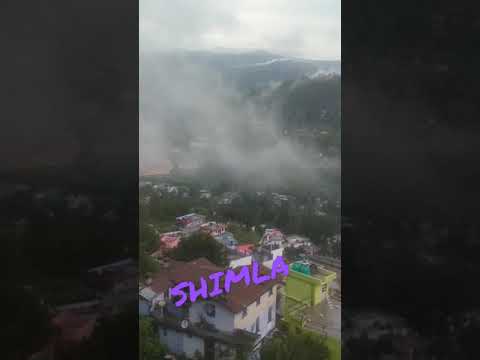 shimla