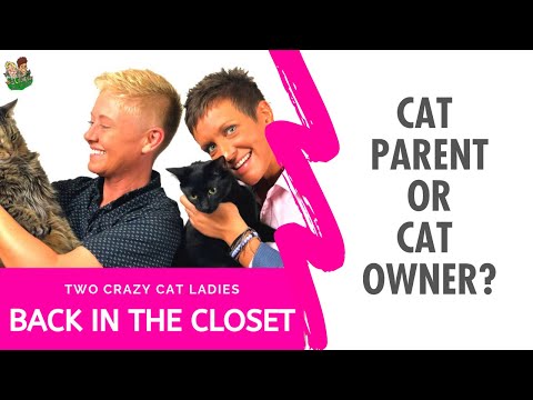 Cat Owner or Cat Parent??? | Two Crazy Cat Ladies