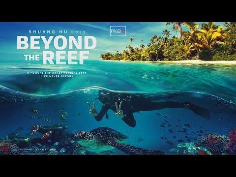 Beyond the Reef | Full Documentary - Shuang Hu