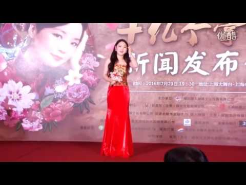 王静 Wang Jing 邓丽君3D演唱会发布会上