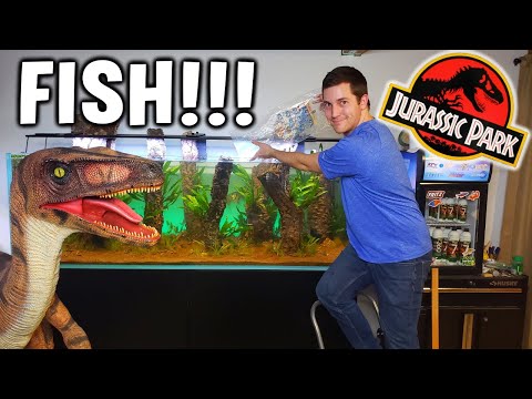 Adding SPECIAL NEW FISH AND... To Jurassic Park Planted Aquarium!