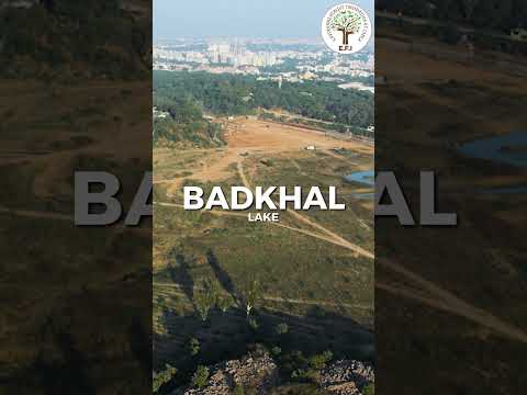 Hydrostan - Badkhal Lake |  Faridabad | Haryana Water Story #shorts