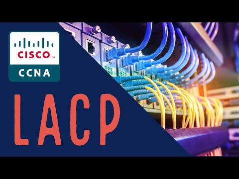 Cisco CCNA - What is LACP In Networking?