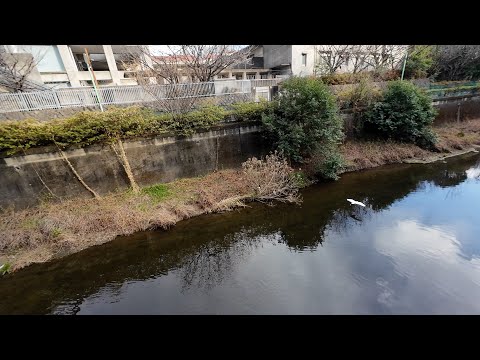 [Tokyo Edition] A walk starting from Seijogakuenmae Station: 4K Japan