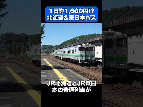 静岡県から北海道までフリーエリアが広すぎる北海道東日本パス #shorts