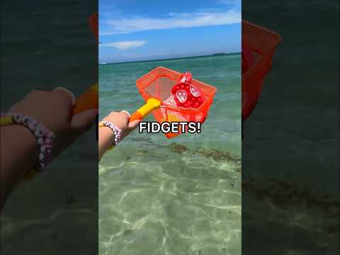 HUNTING FOR FIDGETS at the BEACH! 😱🏖️🐬