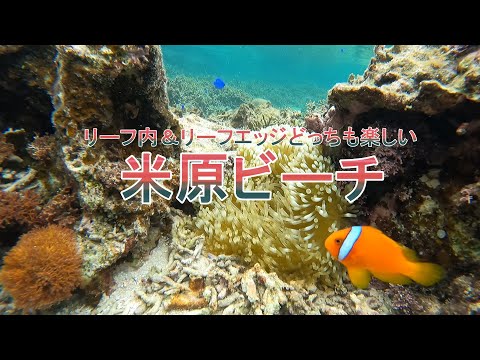 【石垣島】米原ビーチの雰囲気