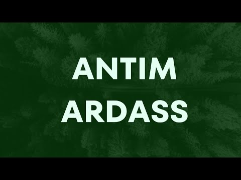 ANTIM  ARDASS Live