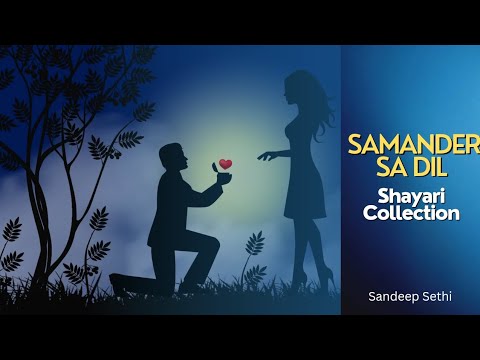 Samandar Sa Dil Hindi Shayari