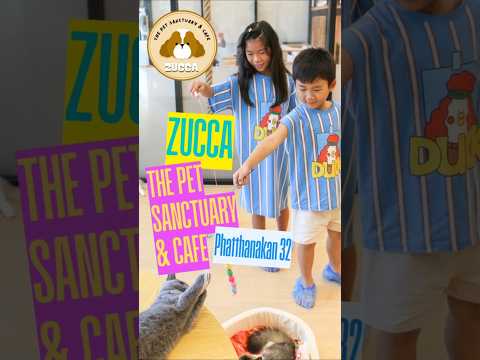 Zucca Pet Café & Mini Zoo คาเฟ่สำหรับคนรักน้องหมาน้องแมว ย่านพัฒนาการ 32 ของกินก็อร่อย