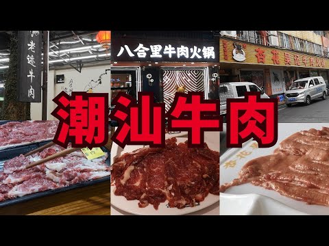 潮汕牛肉火鍋🍖杏花吳記最失望！邊間火鍋最驚喜？老迹牛肉 八合里總店 牛魔王之旅🐂（中文字幕）