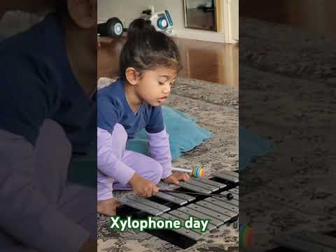 Xylophone day #xylophone #kid #music