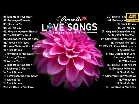 Falling In Love Songs Collection 2024 - Most Old Beautiful Love Songs 70's 80's 90's