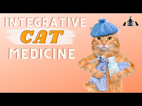 Integrative Cat Medicine Benefits