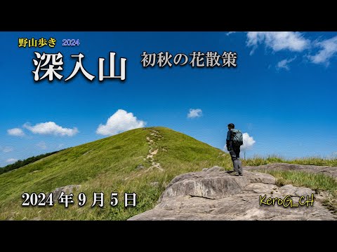 【深入山－初秋の花散策－】野山歩き2024