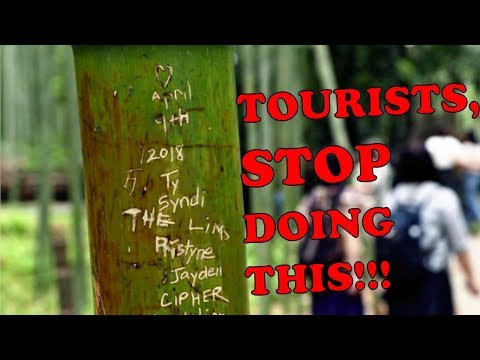 STOP DEFACING THE JAPANESE BAMBOO FOREST