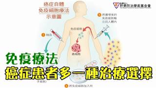 免疫療法 活化增量免疫細胞助消滅癌細胞