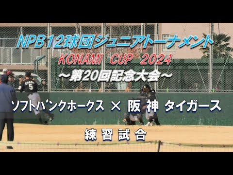 【2024年 NPBｼﾞｭﾆｱﾄｰﾅﾒﾝﾄ】ｿﾌﾄﾊﾞﾝｸﾎｰｸｽ × 阪神タイガース【練習試合】