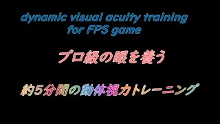 【FPS＆TPS】プロの動きが見える！約５分間の動体視力トレーニング☆バトル前にオススメ　dynamic visual acuity training for fortnite