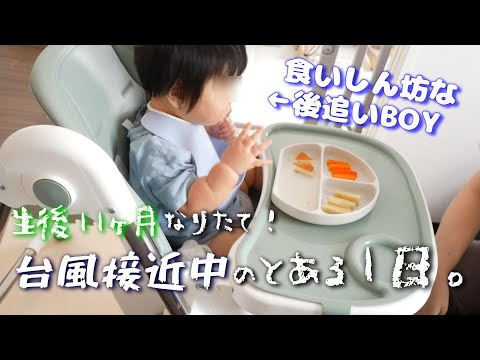 【新米ママの日常vlog】生後11ヶ月なりたて👶台風接近中のとある1日 | 後追い期 | ワンオペ | 完全ミルク | 離乳食後期つかみ食べ 【専業主婦】