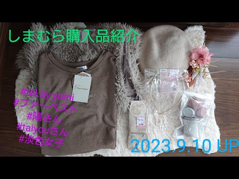 【Haul】しまむら購入品紹介＊2023.9.10/tal.by yumi/Helm/淡色/陽さんコラボ/taiyouさんコラボ