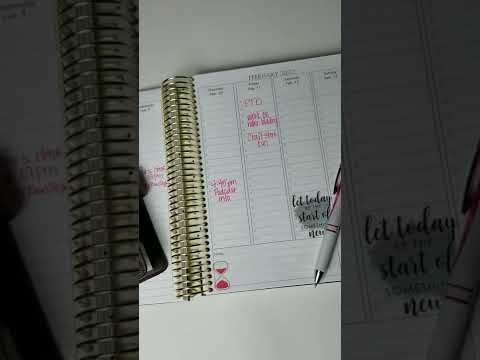 My Favorite Planners| Louis Vuitton Agenda MM and Simply Yours Day Planner #shorts #planwithme