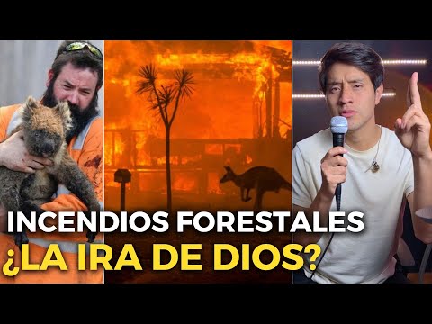 Los Incendios Forestales son ¿SEÑALES DEL APOCALIPSIS?