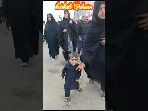 hyder son ali Daan karbala arbaeen 2023