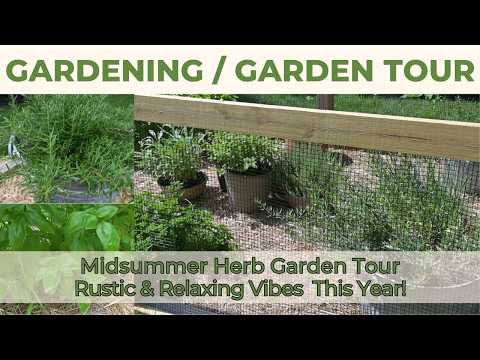 Midsummer Herb Garden Tour | Rustic & Aesthetic | In Ground, Terra Cotta & Galvanized Pot Plantings!