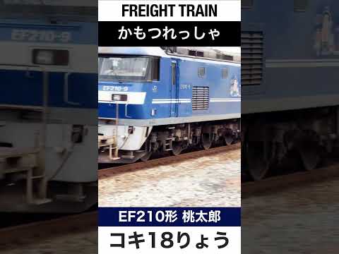 【ほぼ空荷】JR山陽本線を走る貨物列車【電車が大好きな子供向け】Japanese Trains for Kids - Freight Train