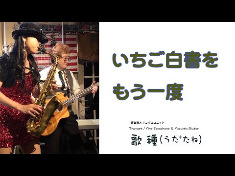 【長岡京 Wood Stock】” いちご白書をもう一度 "（ バンバン）Cover by Alto Saxophone / Trumpet & Acoustic Guitar