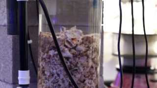 Calcium Reactors for the Reef Aquarium