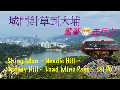 戴著口罩去行山 ～ 城門針草到大埔  Hiking with face mask  ～ Shing Mun-Needle -Grassy-Tai Po ｛山野篇 Hong Kong Hiking｝