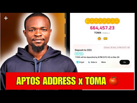 Tomarket: How to Withdraw TOMA Token with Aptos Address into Bitget Exchange