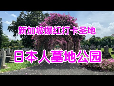 来墓地拍婚纱照？日本人墓地公园新加坡爆红 | 新加坡新打卡圣地 | 游客新人纷来拍照 | Japanese Cemetery Park | Ahmiao Tv