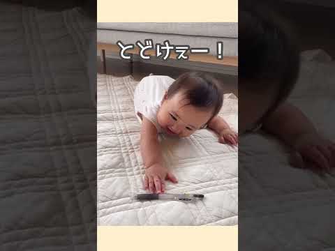 ずり這い成功？⇦ うちの子って天才かな？？(親バカ)