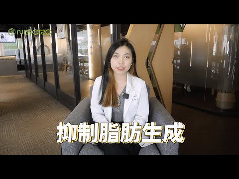 Nisoro Health｜減重最怕醣份的恐怖攻擊！聽聽營養師怎麼解