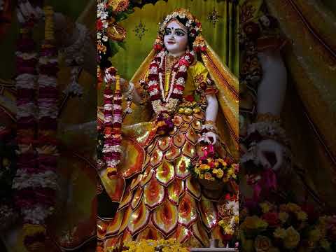 ❤️ Radharani ❤️ #mayapuriskconmandir #krishanabhajan