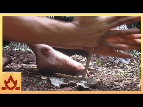 Primitive Technology: Firesticks